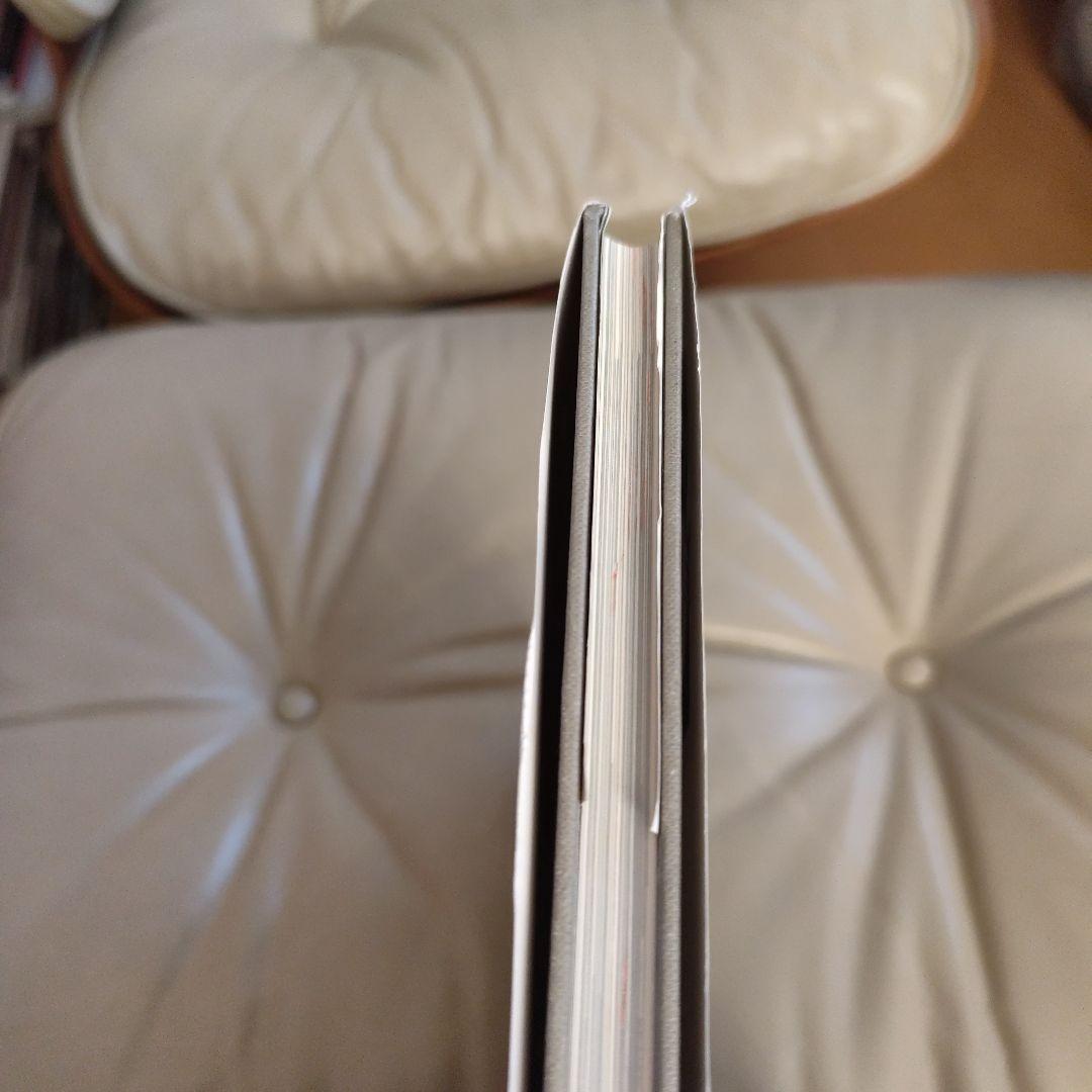 フォトグラフィング アーキテクチャ アンド インテリア/ジュリウス シェルマン