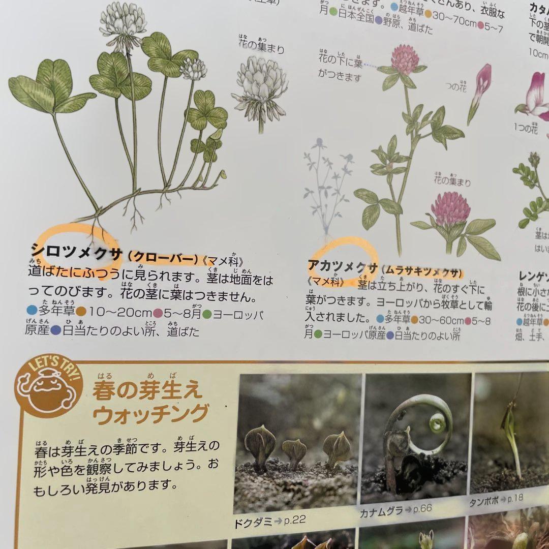 本日限定価格　プレneo 小学館の図鑑neo 空のふしぎ図鑑　19冊　セット