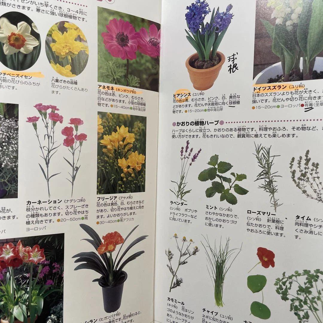 本日限定価格　プレneo 小学館の図鑑neo 空のふしぎ図鑑　19冊　セット