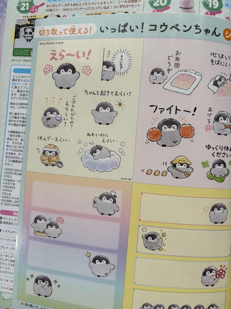 ね〜ね〜　2025年　夏号　ねーねー