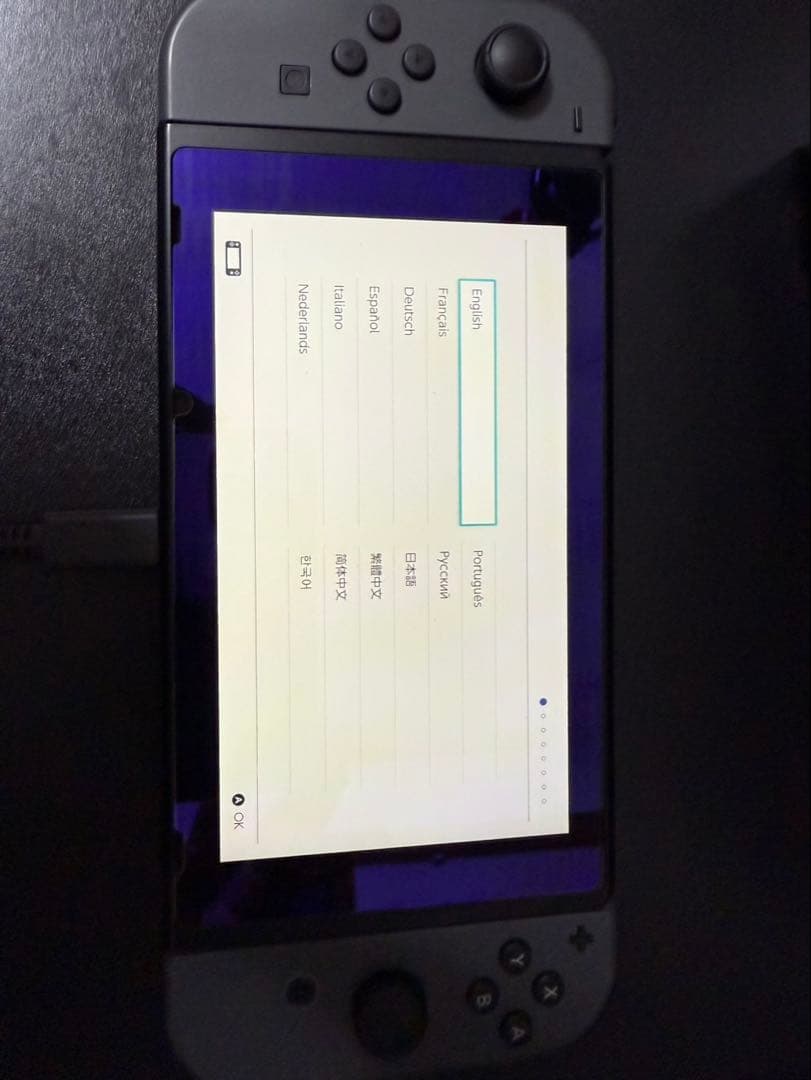Nintendo Switch グレー + 保護グラス・マイクロSDカード付き