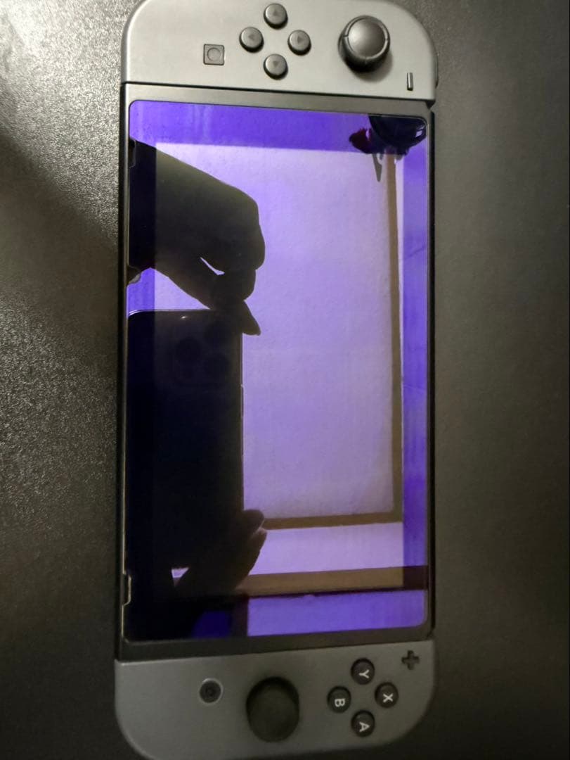 Nintendo Switch グレー + 保護グラス・マイクロSDカード付き