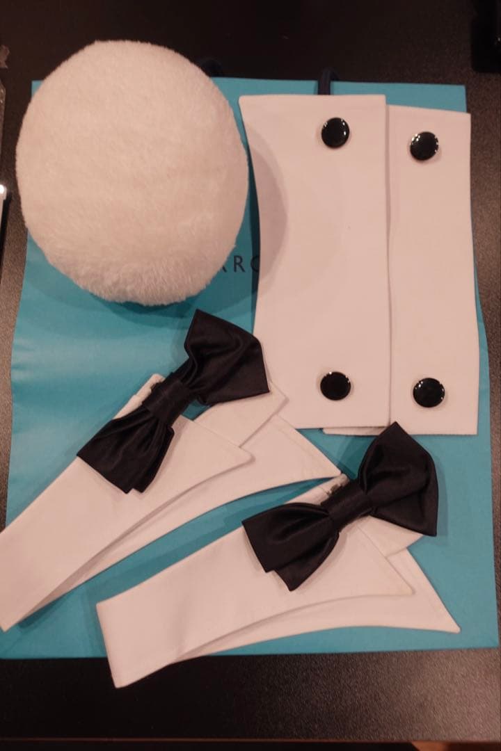 【TOKYOバニーガール】バニーガール衣装【コスプレ】