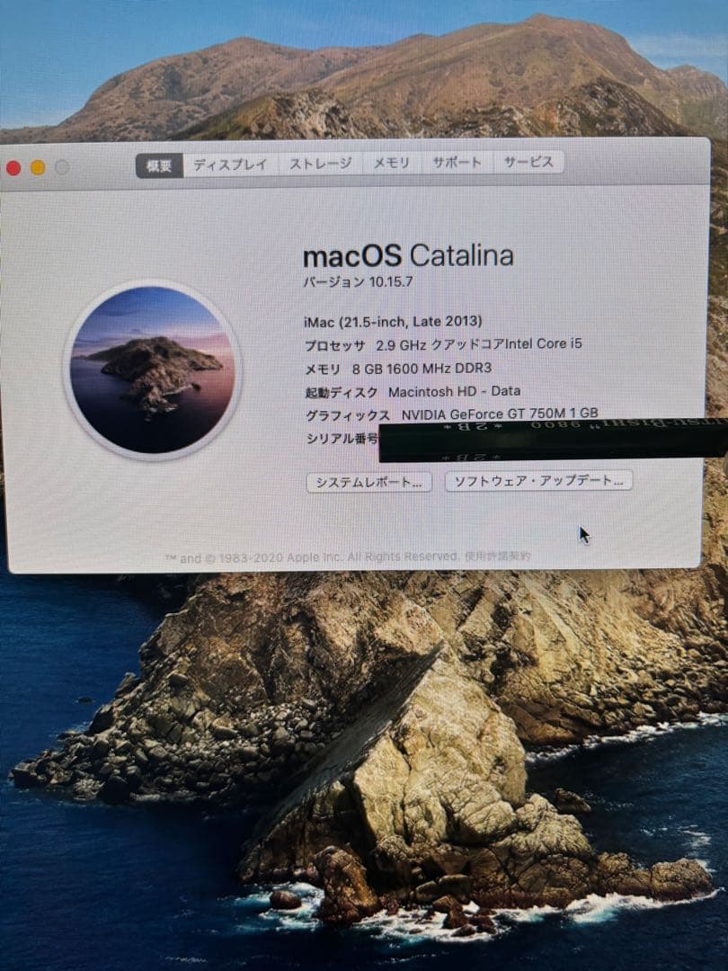 美品 Apple iMac 21.5 (Late 2013)+Trackpad2