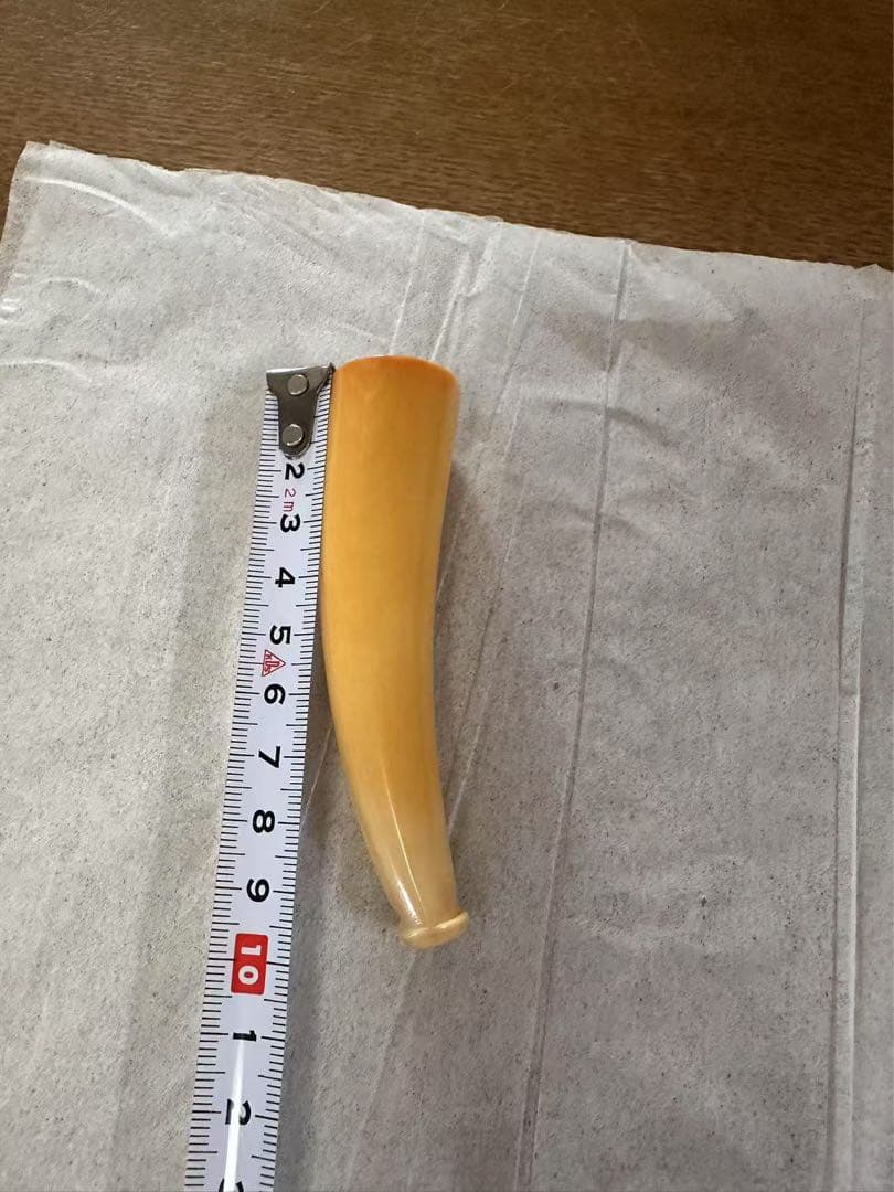 鯨歯 マッコウ鯨 牙 パイプ キセル 特大 56グラム