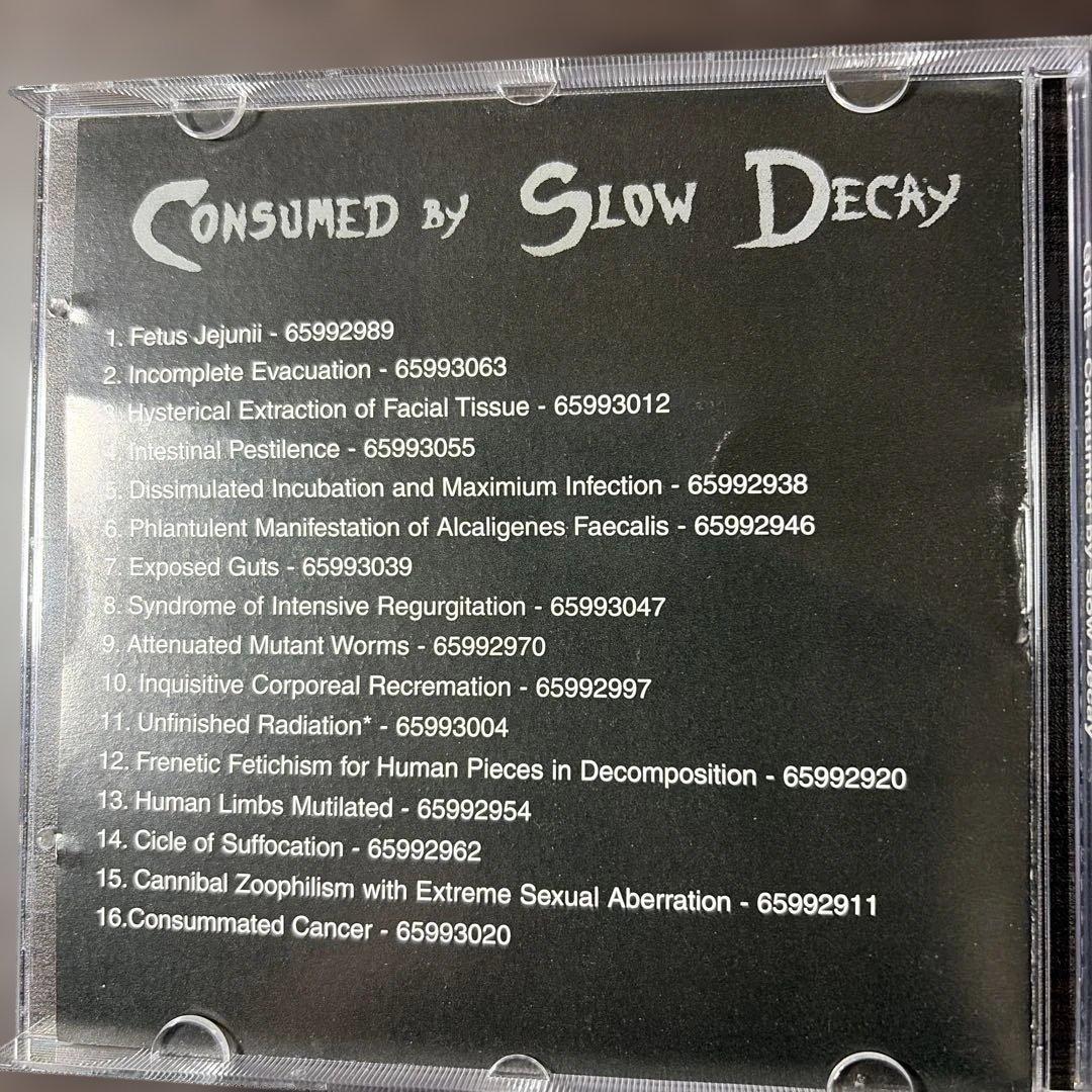 洋楽 Gore/ consumed by slow decay