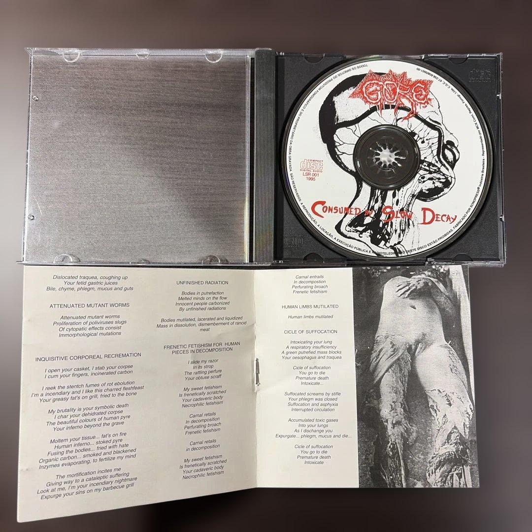 洋楽 Gore/ consumed by slow decay