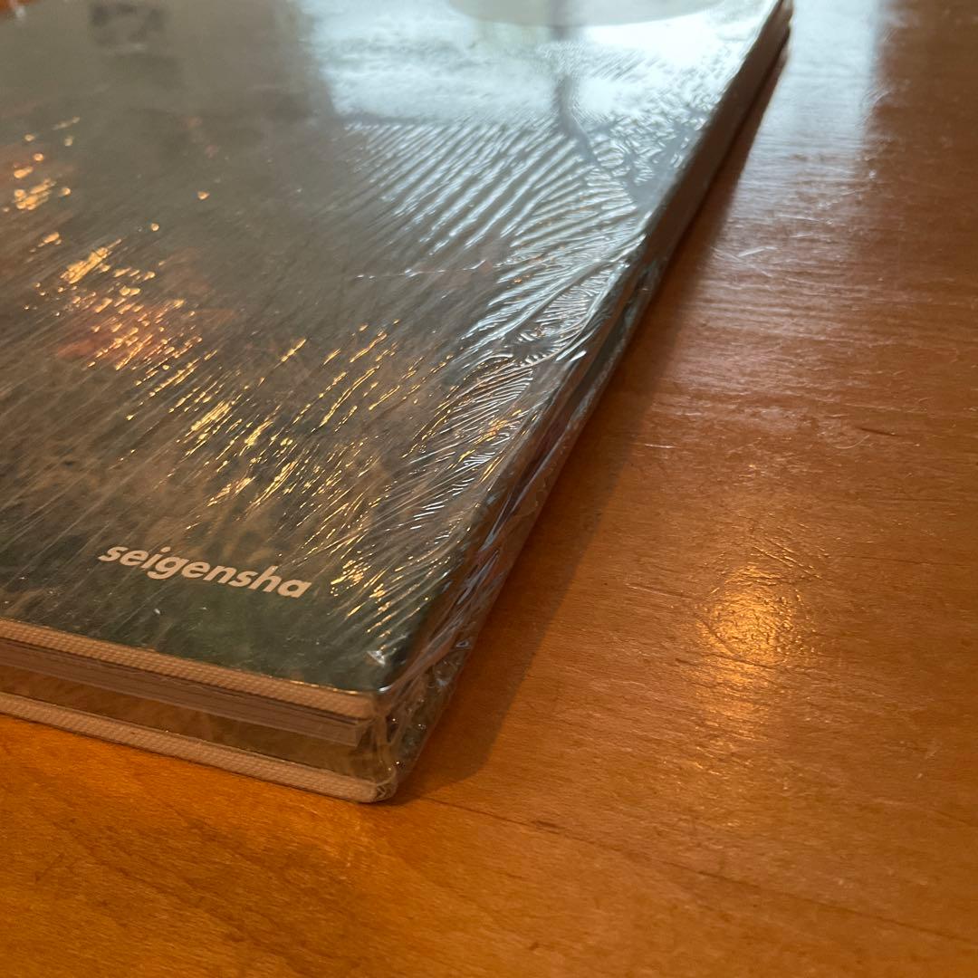 シュリンク破れなし未開封　川内倫子 / あめつち 完全版