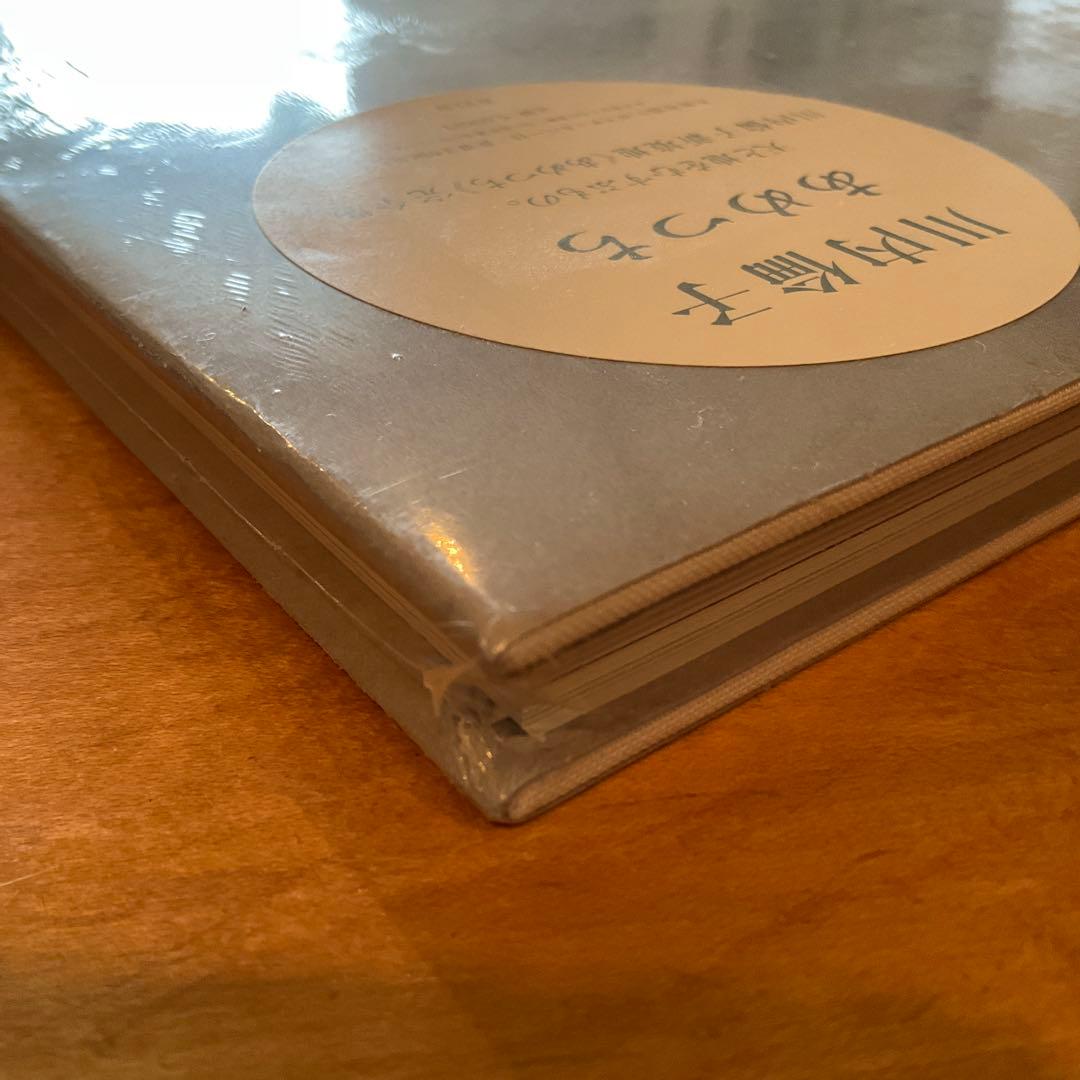 シュリンク破れなし未開封　川内倫子 / あめつち 完全版