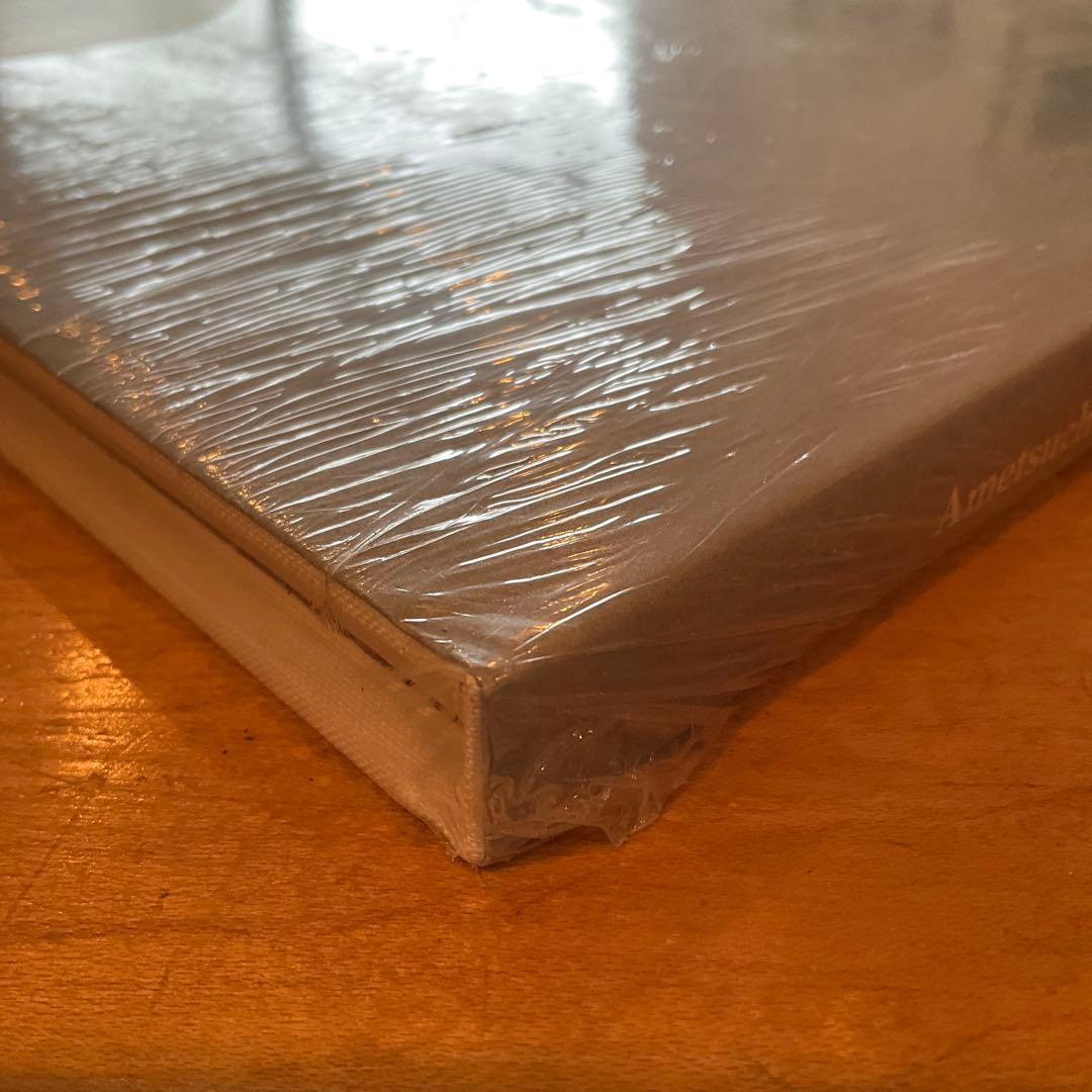 シュリンク破れなし未開封　川内倫子 / あめつち 完全版