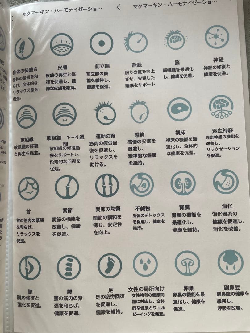 【Lococo】マグヒーリー　クラシック　中古