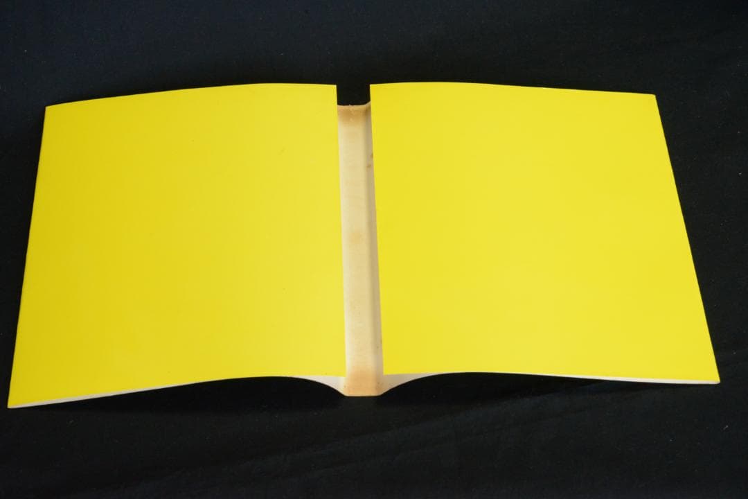 【I am a king】東松証明 1972年初版発行　未読品★★値下げしました