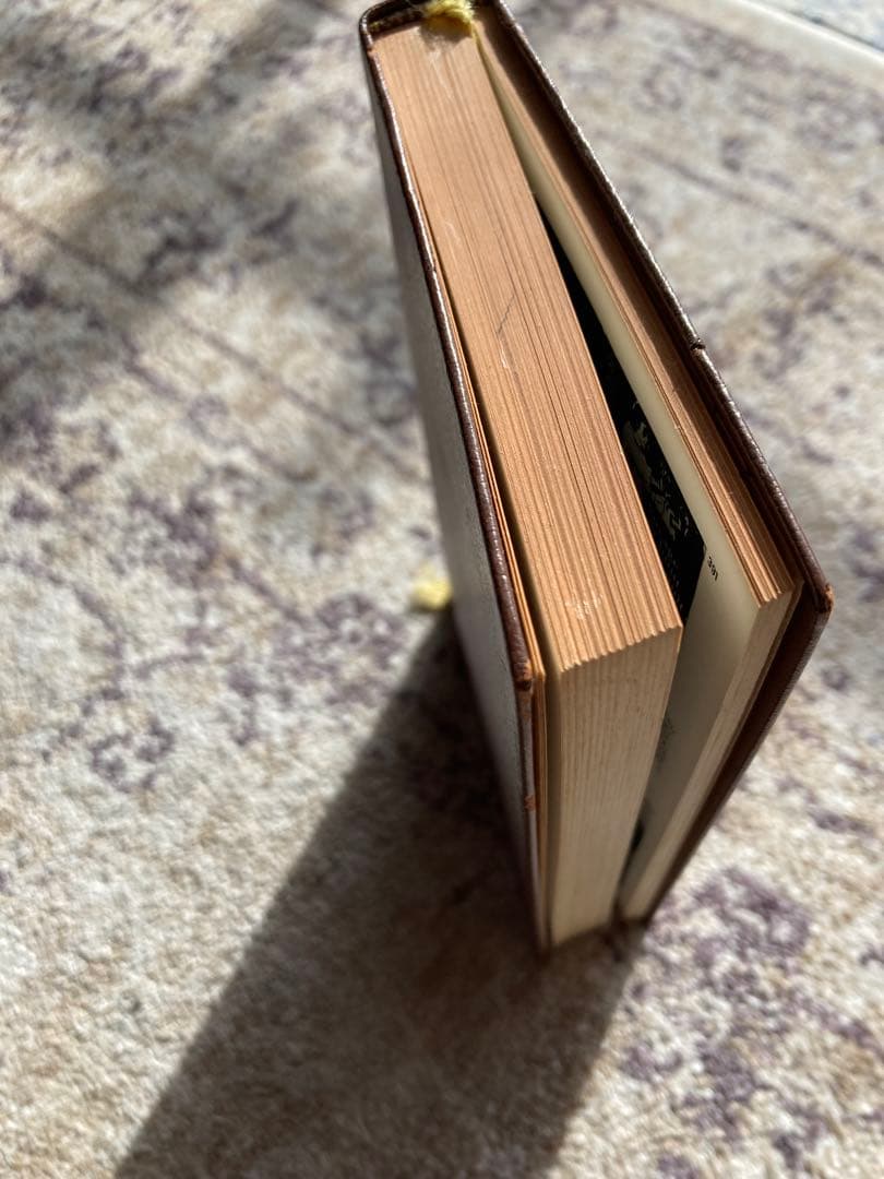 Album Céline - Gallimard