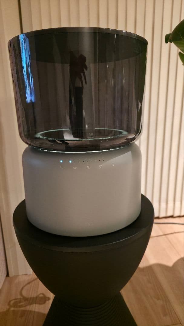 cado STEM 500H クールグレー