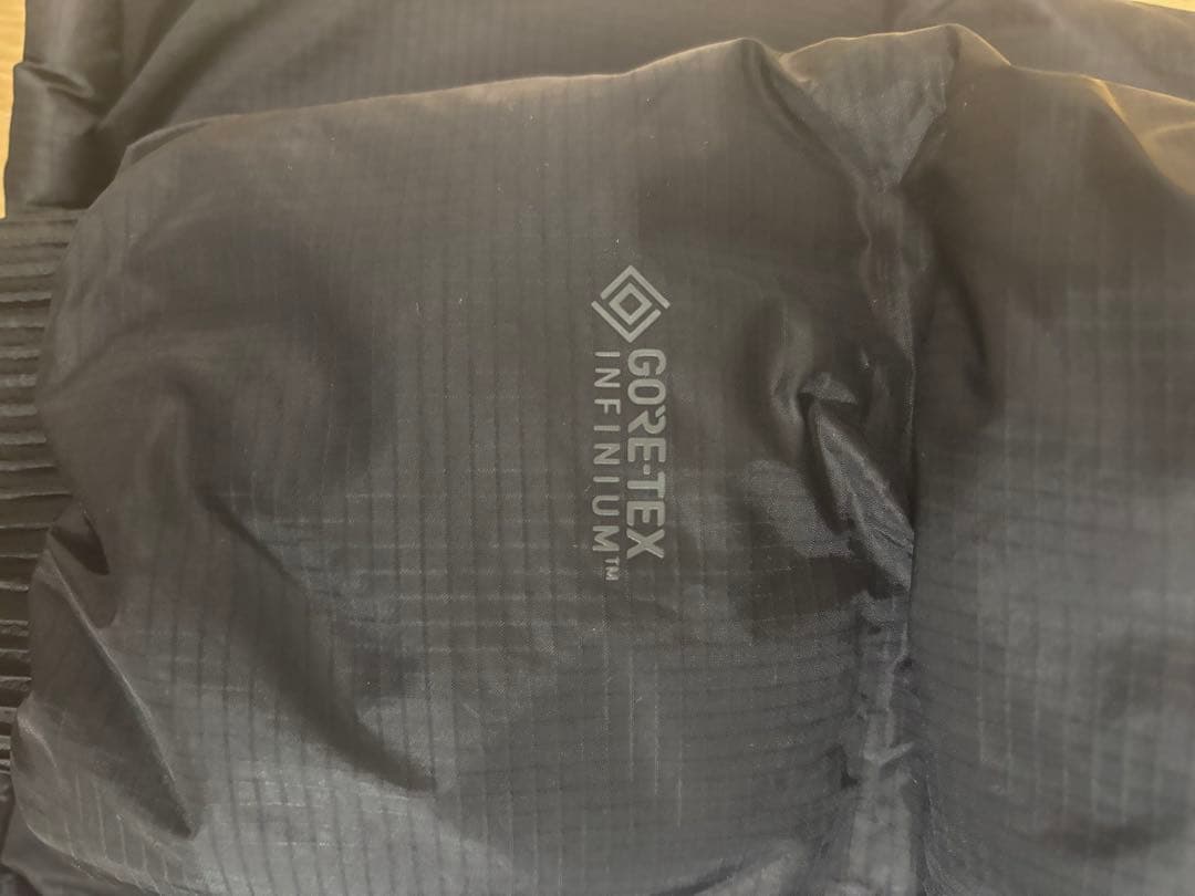 The North Face ダウン GORE-TEX