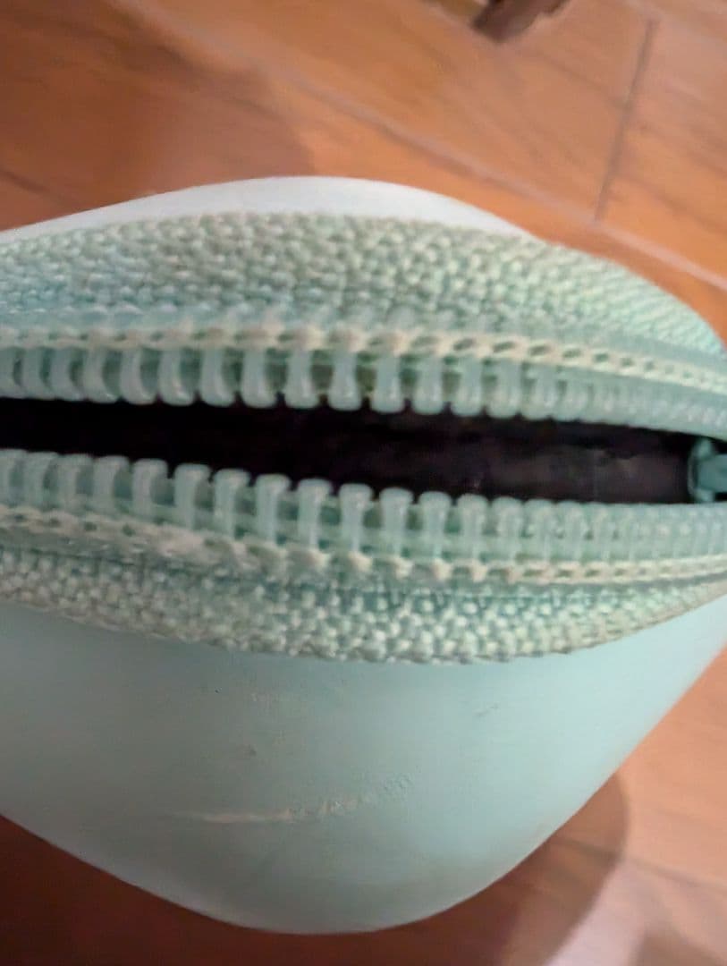 あつ森ソフトカバーケース付き スイッチ本体セット