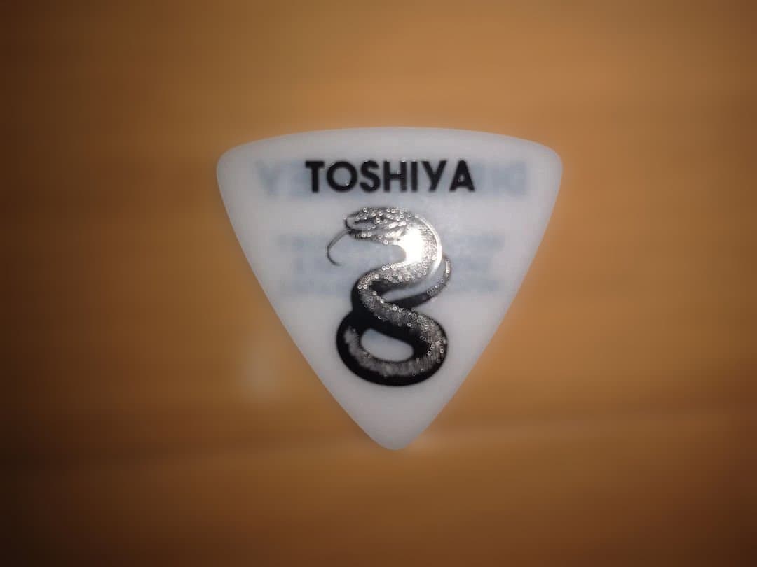 Dir en grey VESTIGE OF SCRATCHES +ピック