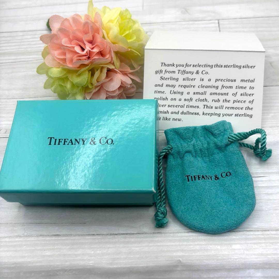 TIFFANY.Co.【極美品】エターナルサークルネックレス　925 付属品付