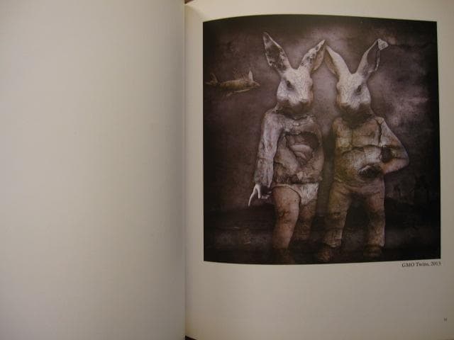 Marcin Owczarek - Paradise Lost　失楽園