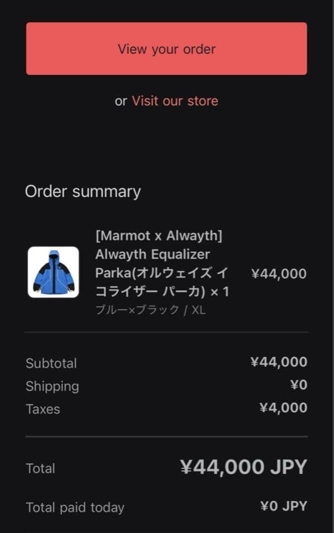 Marmot The Alwayth Report ジャケット size XL
