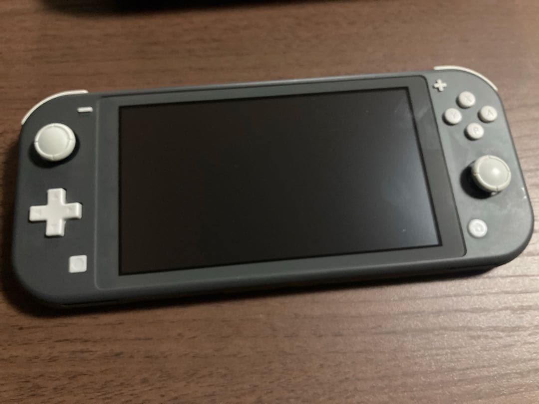 任天堂 Switch Lite （グレー、箱無し、充電器付き、専用ケース付き）