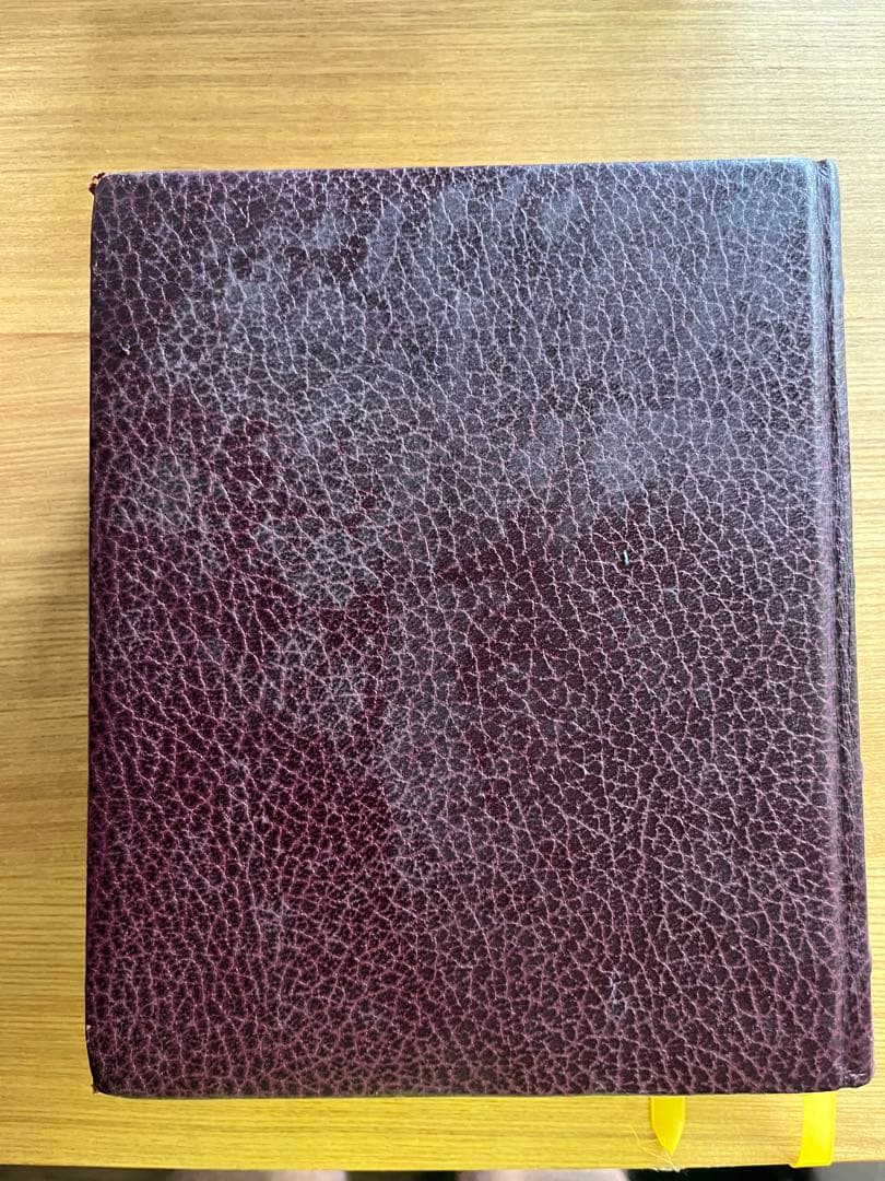 青*ン様 La Sacra Bibbia 聖書　(イタリア語版)