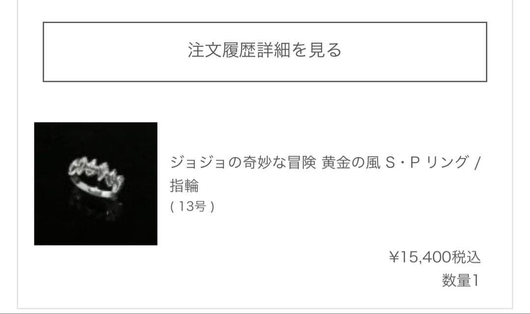 ジョジョの奇妙な冒険 S・P・リング 13号