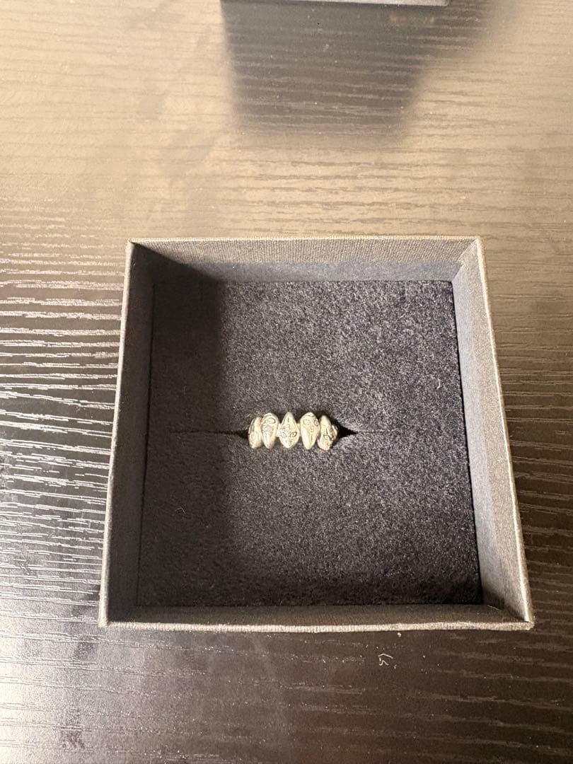 ジョジョの奇妙な冒険 S・P・リング 13号