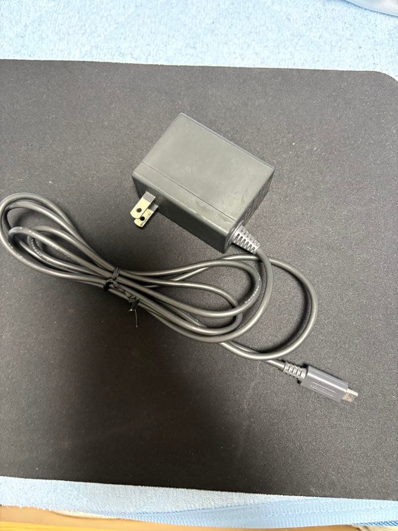 Nintendo Switch 本体　あつまれどうぶつの森