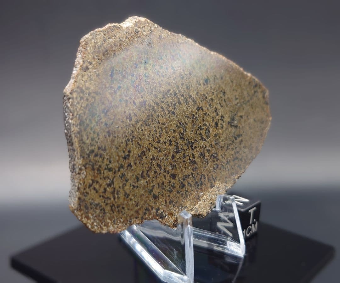 火星隕石　Mars Shergottite NWA 14714 ✨