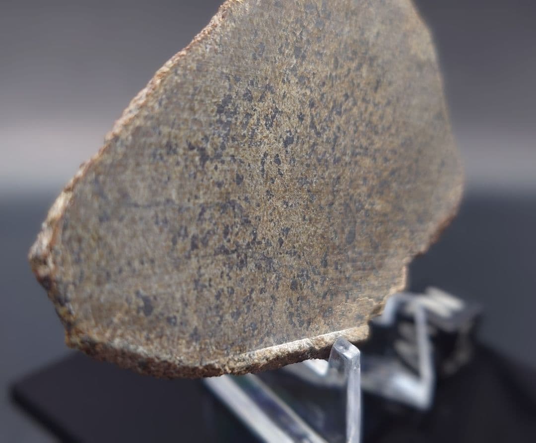 火星隕石　Mars Shergottite NWA 14714 ✨