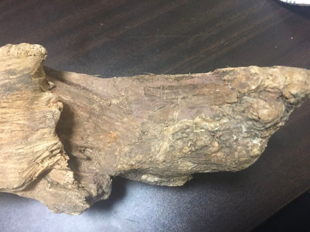 カリマンタン沈香原木 約160g 【沈香 伽羅 香木 原木】