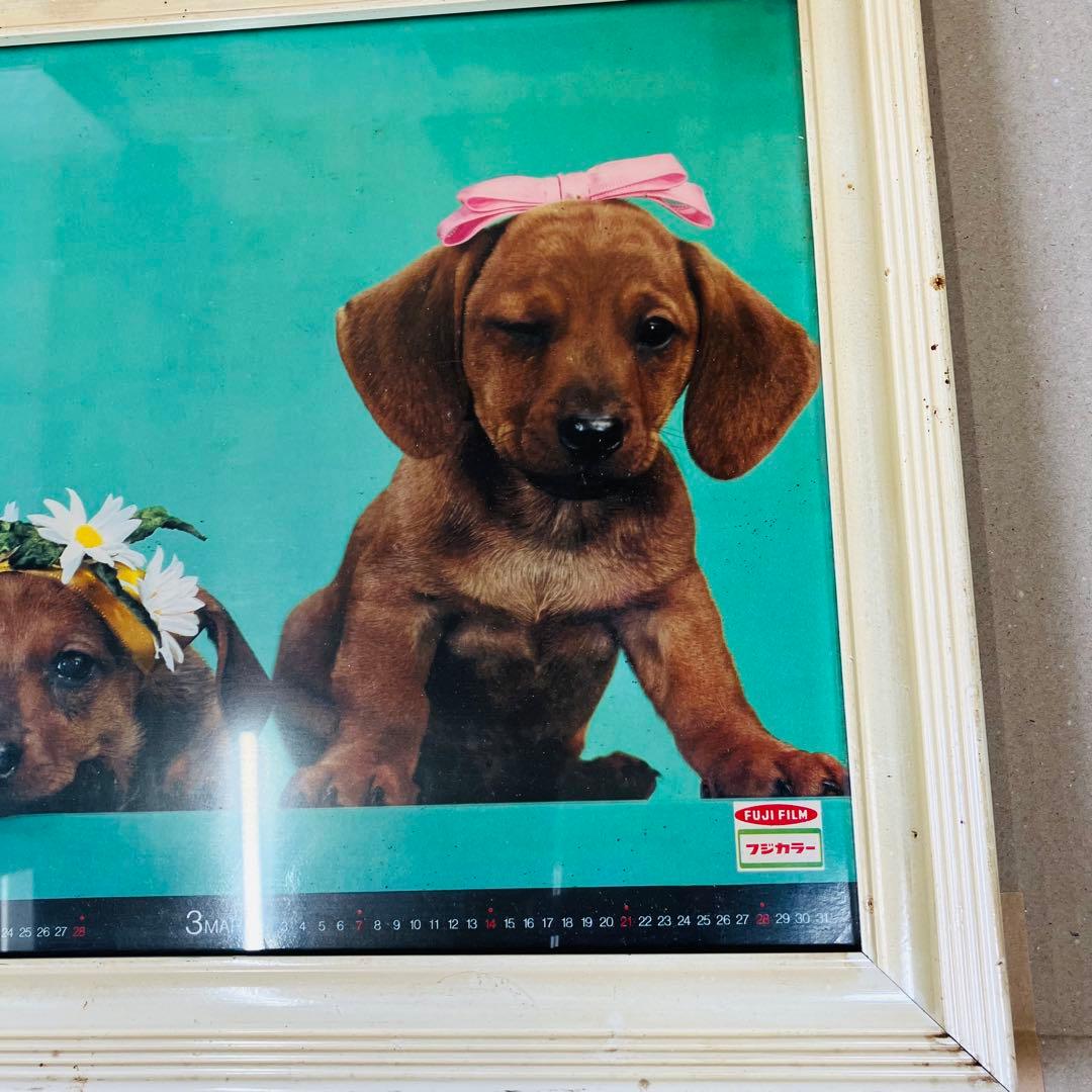 1971年当時物 フジカラー 犬 カレンダー付き 大型パネル 昭和レトロ