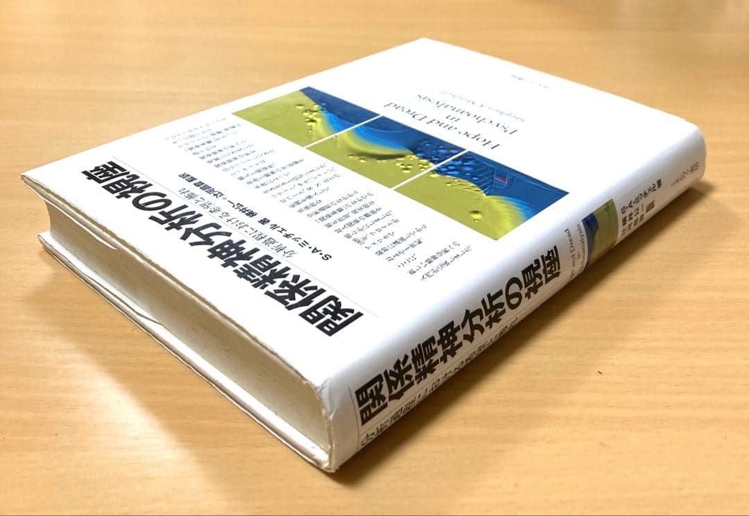 関係精神分析の視座―分析過程における希望と怖れ