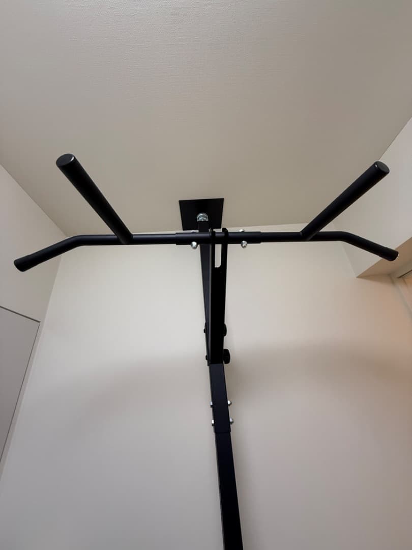 TEDDY WORKS KENSUI kaku Model1+ディップスセット