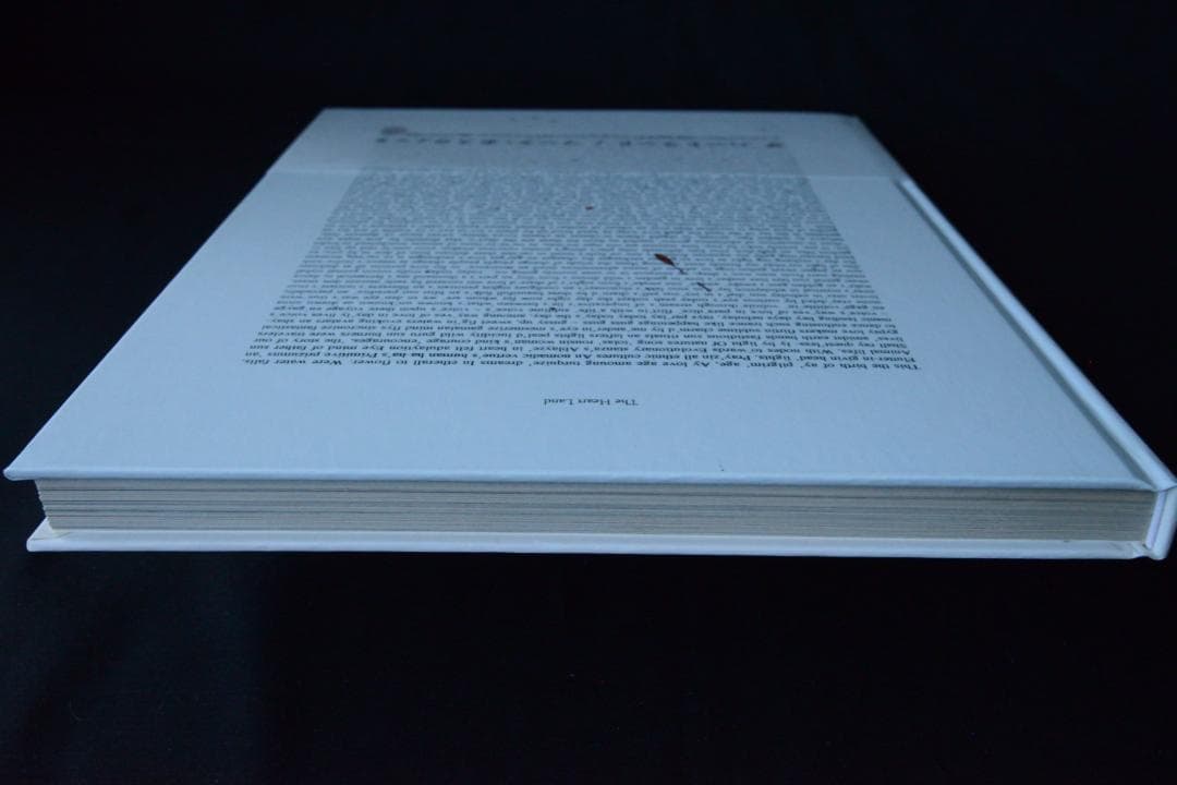 【Mark Borthwick：The Heart Land 】★美本