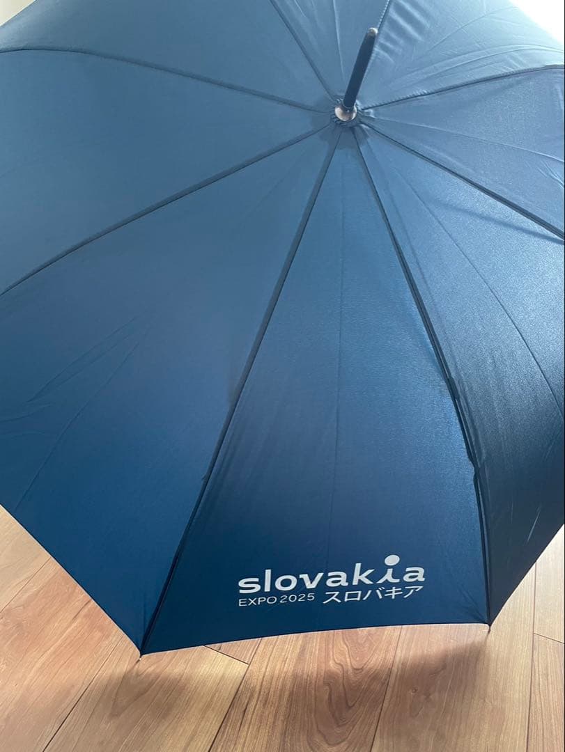 ⭐️バラ売り可能⭐️非売品 大阪関西万博 スロバキア 傘 リュックサック