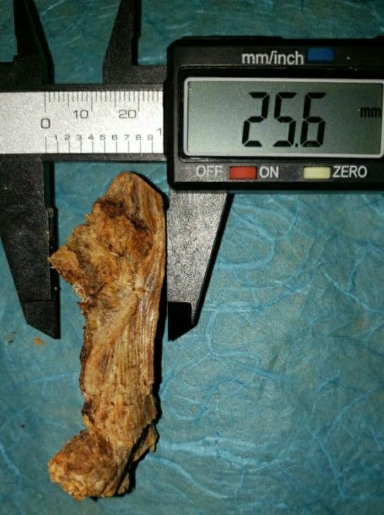 58 伽羅、六国五味、聞香、香木、沈香「ブルー白檀根瘤14,6g」