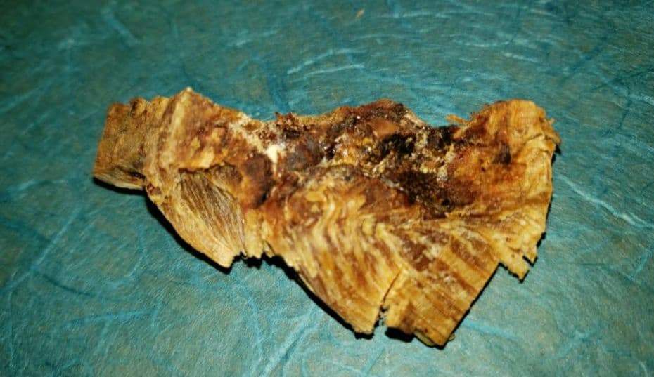 58 伽羅、六国五味、聞香、香木、沈香「ブルー白檀根瘤14,6g」