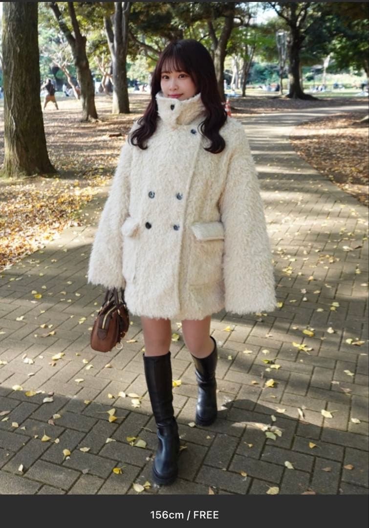 mideal poodle middle coat プードルミドルコートグレー