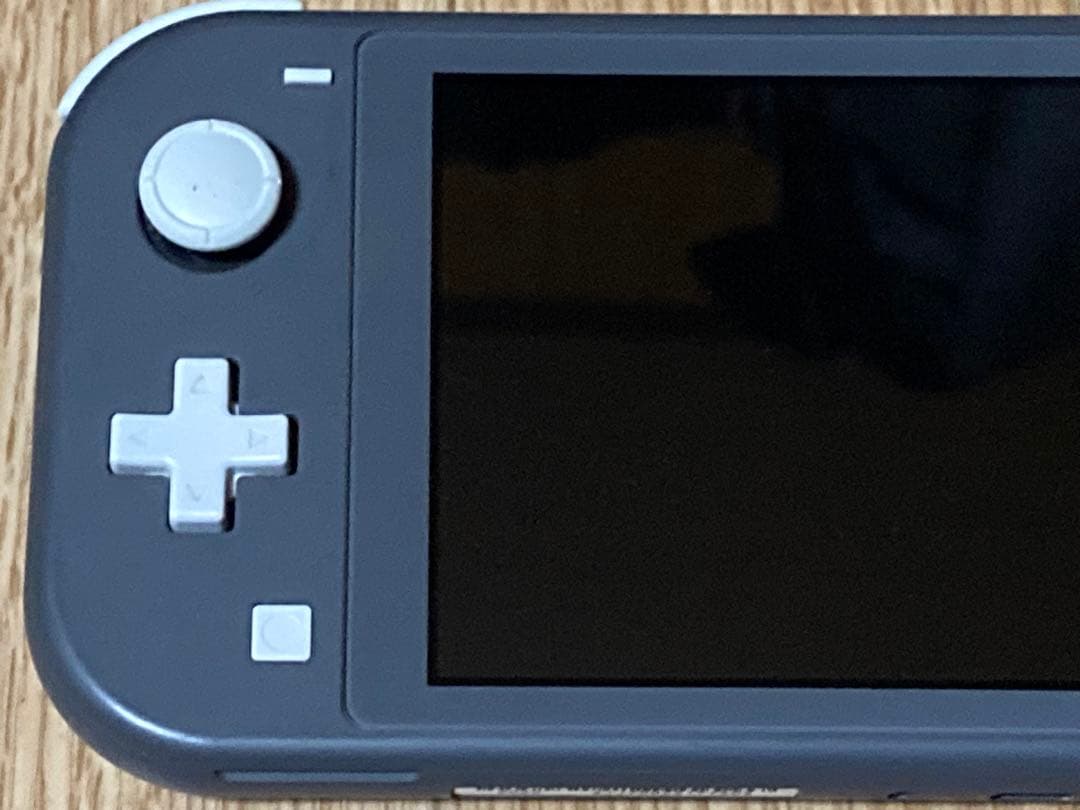 Nintendo Switch Lite グレー アダプターと箱有