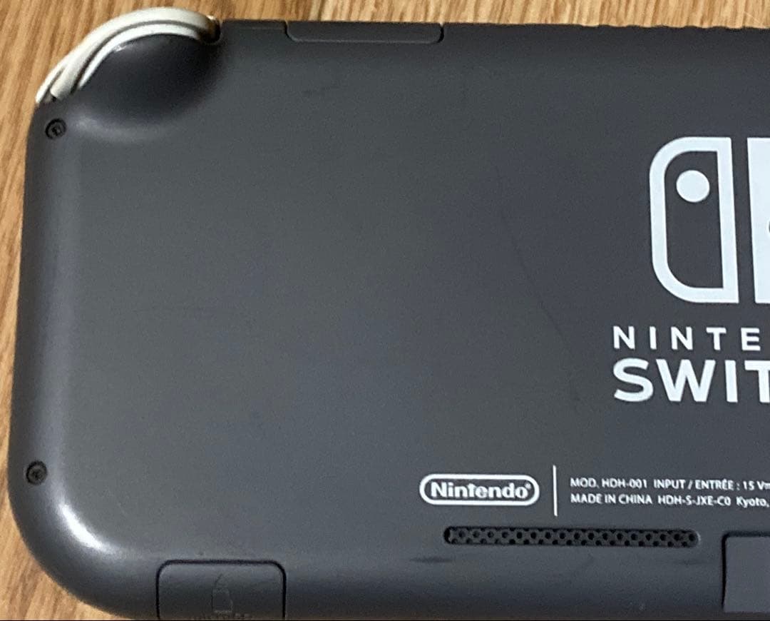 Nintendo Switch Lite グレー アダプターと箱有