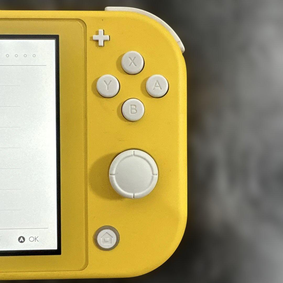 ニンテンドーSwitch lite
