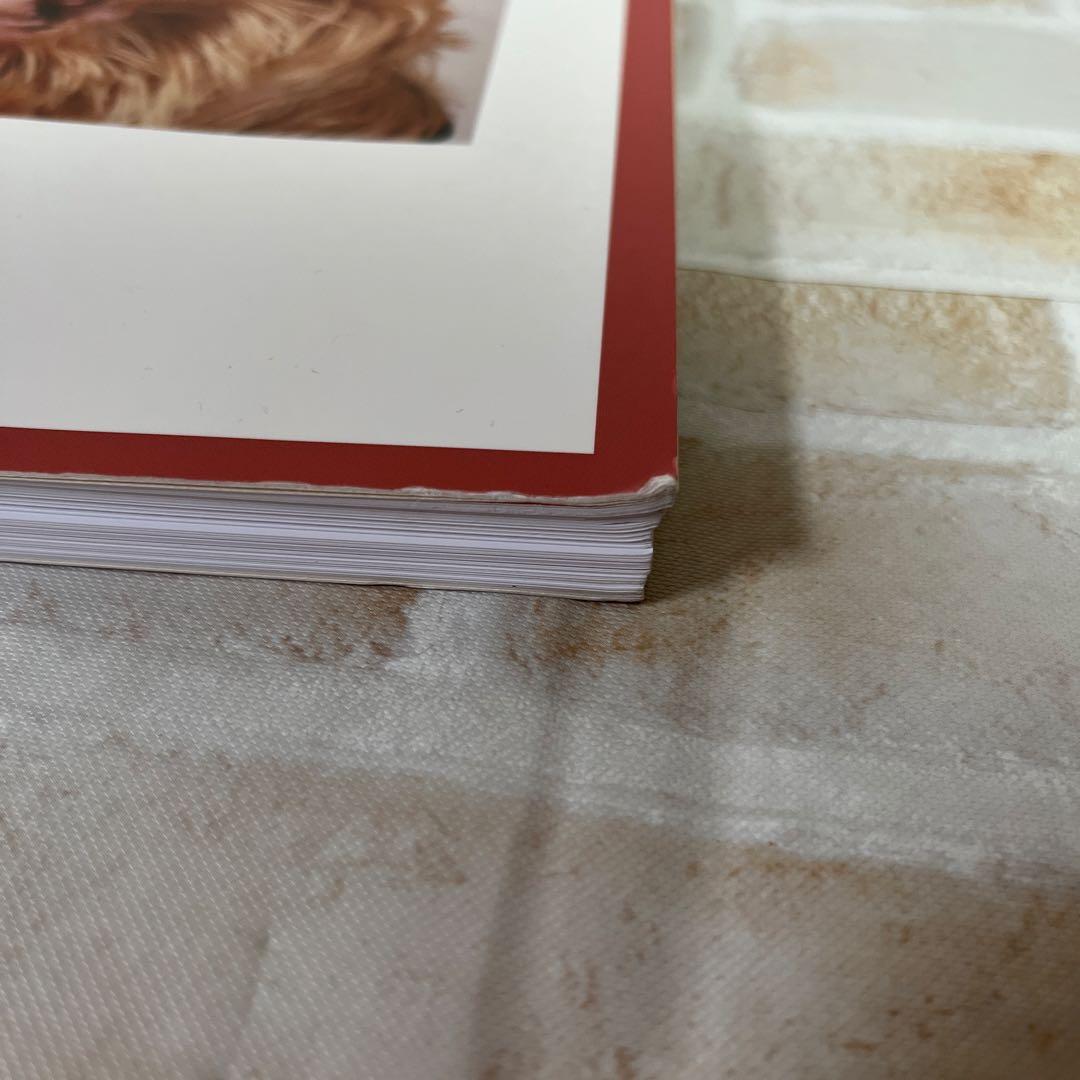 【裁断済】犬と猫 耳の診察前にまず読む本