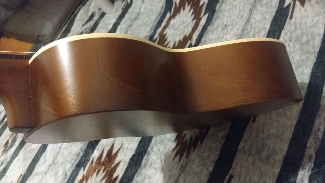 Art & Lutherie アート&ルシアー Ami Cedar Nylon