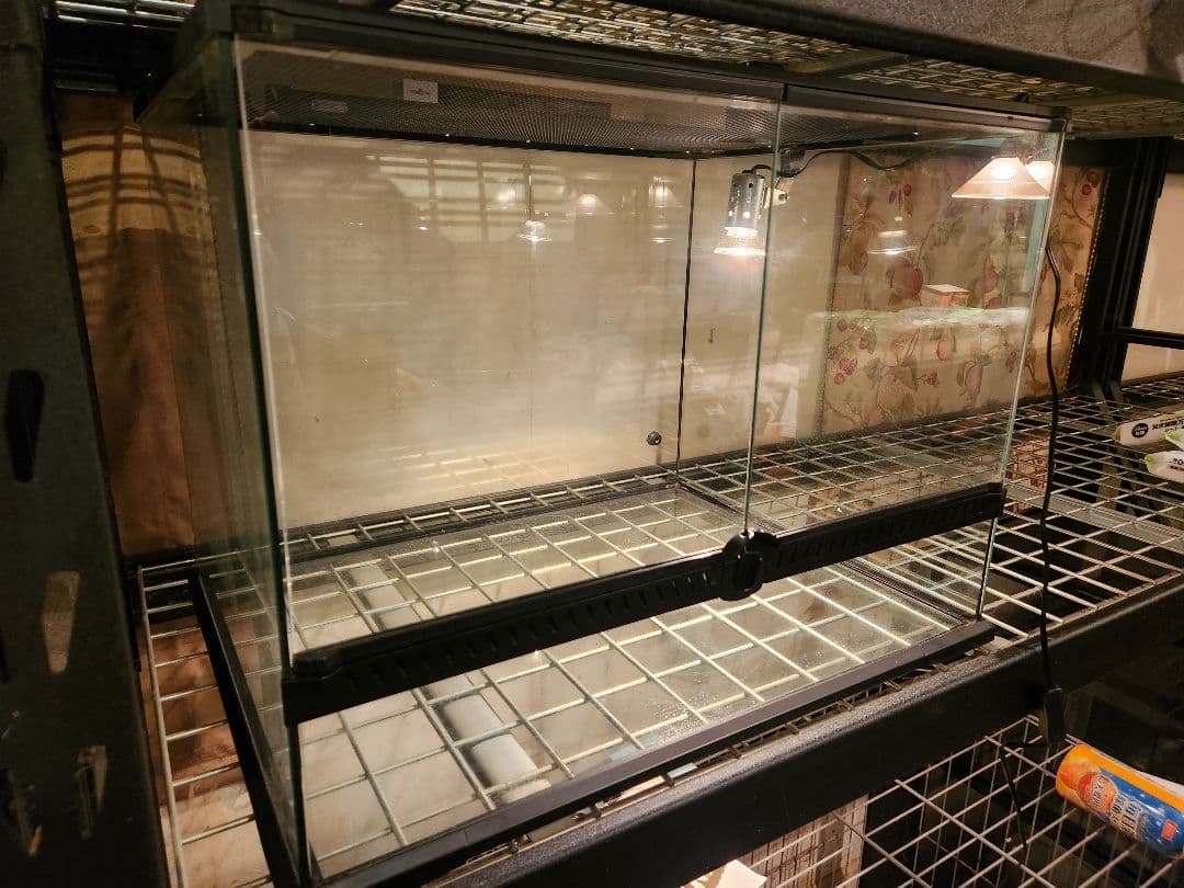 T複数割引レインフォレストタンクL マイクロサン28w 中古各1台