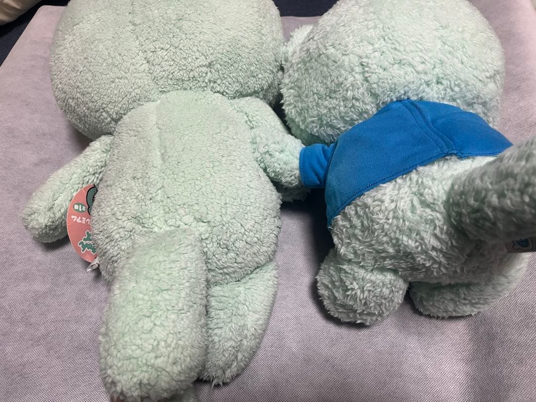 たぬきゅん ぬいぐるみセット