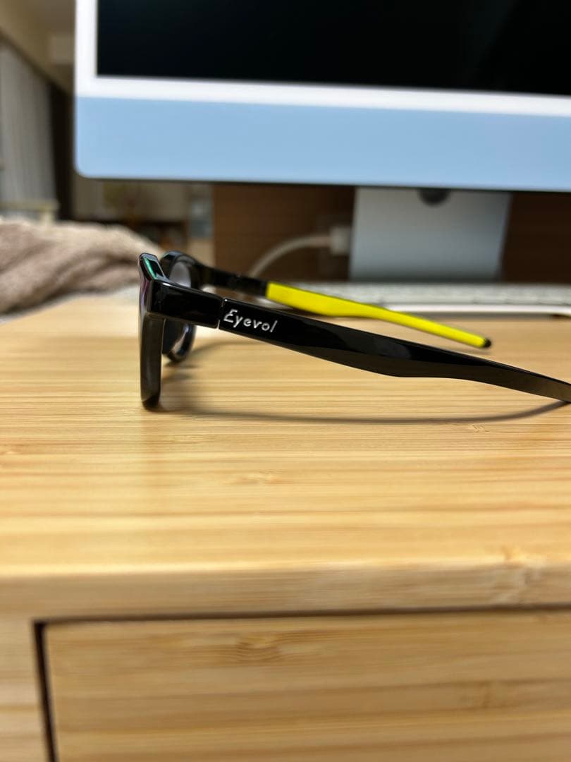 Eyevol LEIFER Ⅱ サングラス