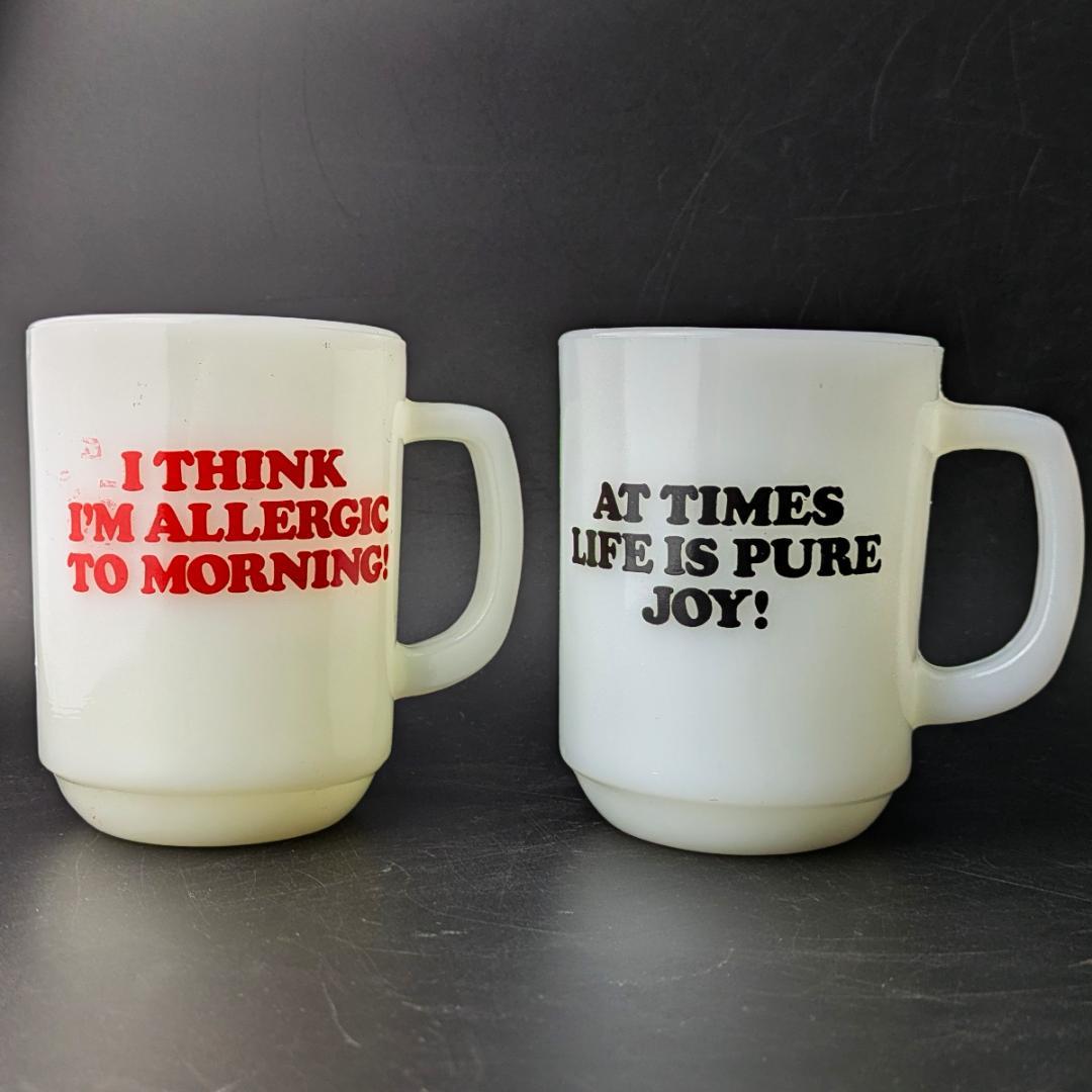 cocoさん専用ファイヤーキング スヌーピー＆ウッドストック ヴィンテージマグ