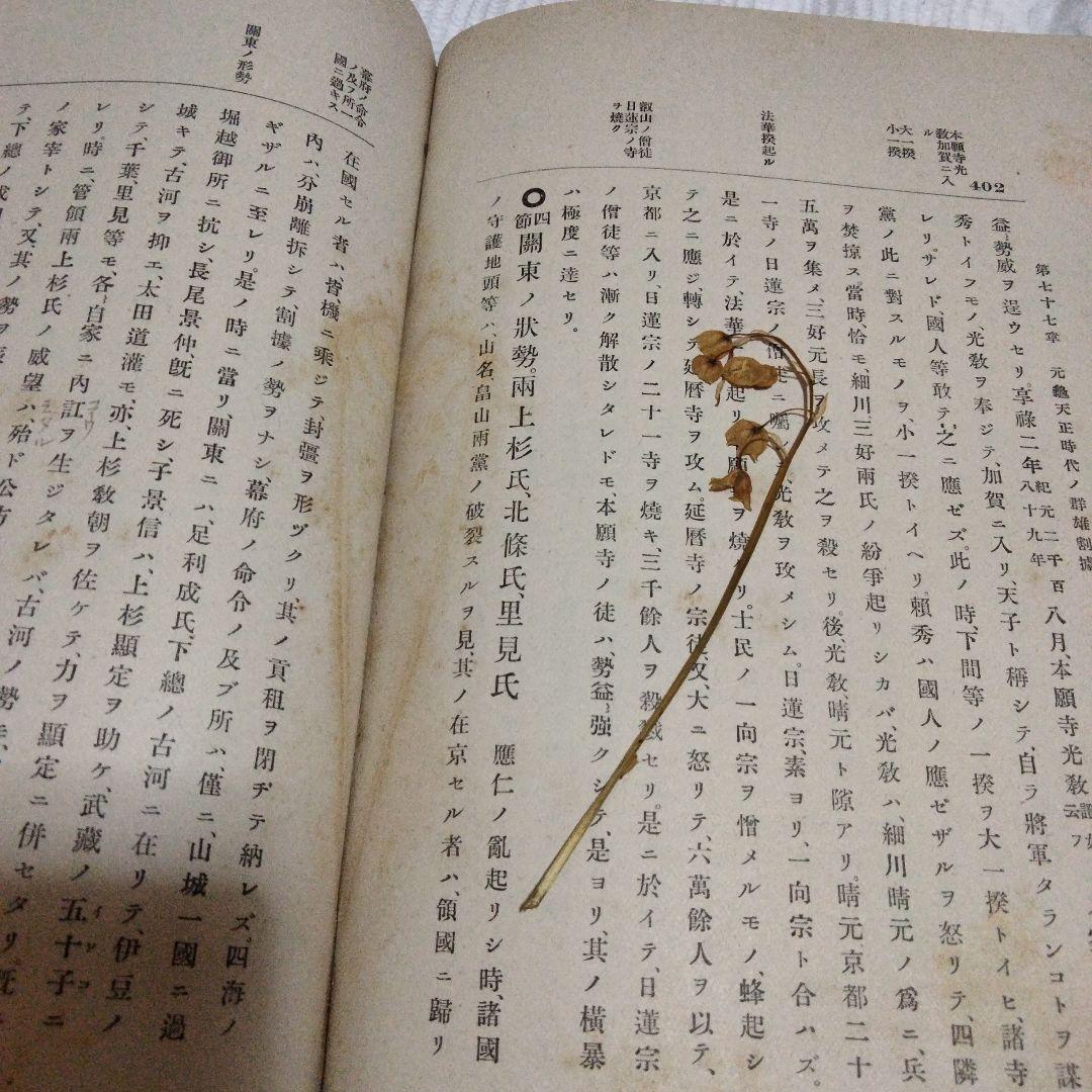 希少価値　明治40.41年発行「大日本歴史」上下巻